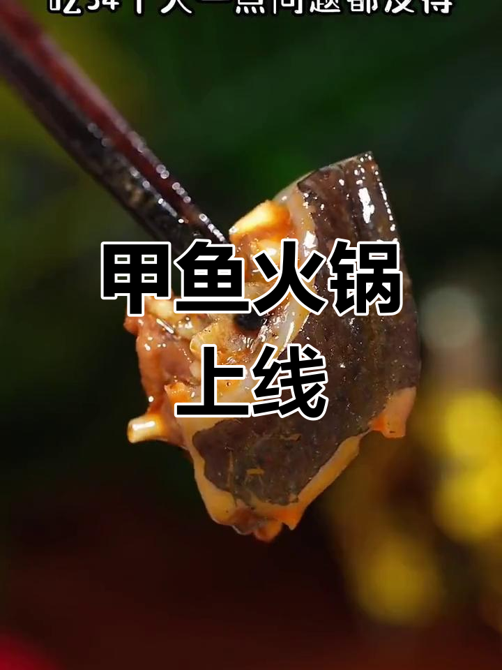 湖北荆州甲鱼火锅,冬季滋补必备美味