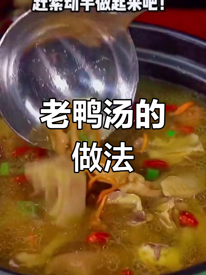 秋季养生必备老鸭汤,做法简单又美味