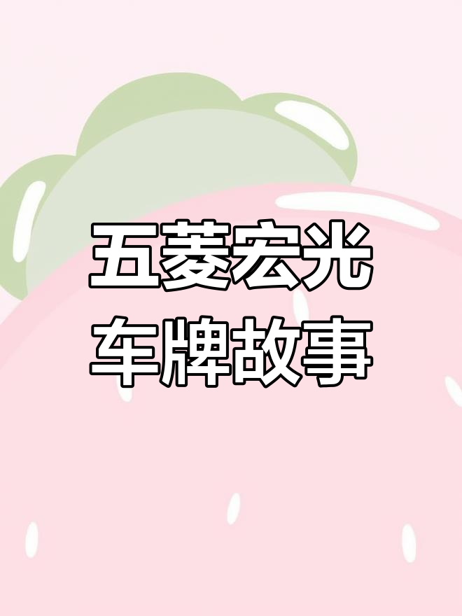 当年为五菱宏光牌照,小伙买一排面包车