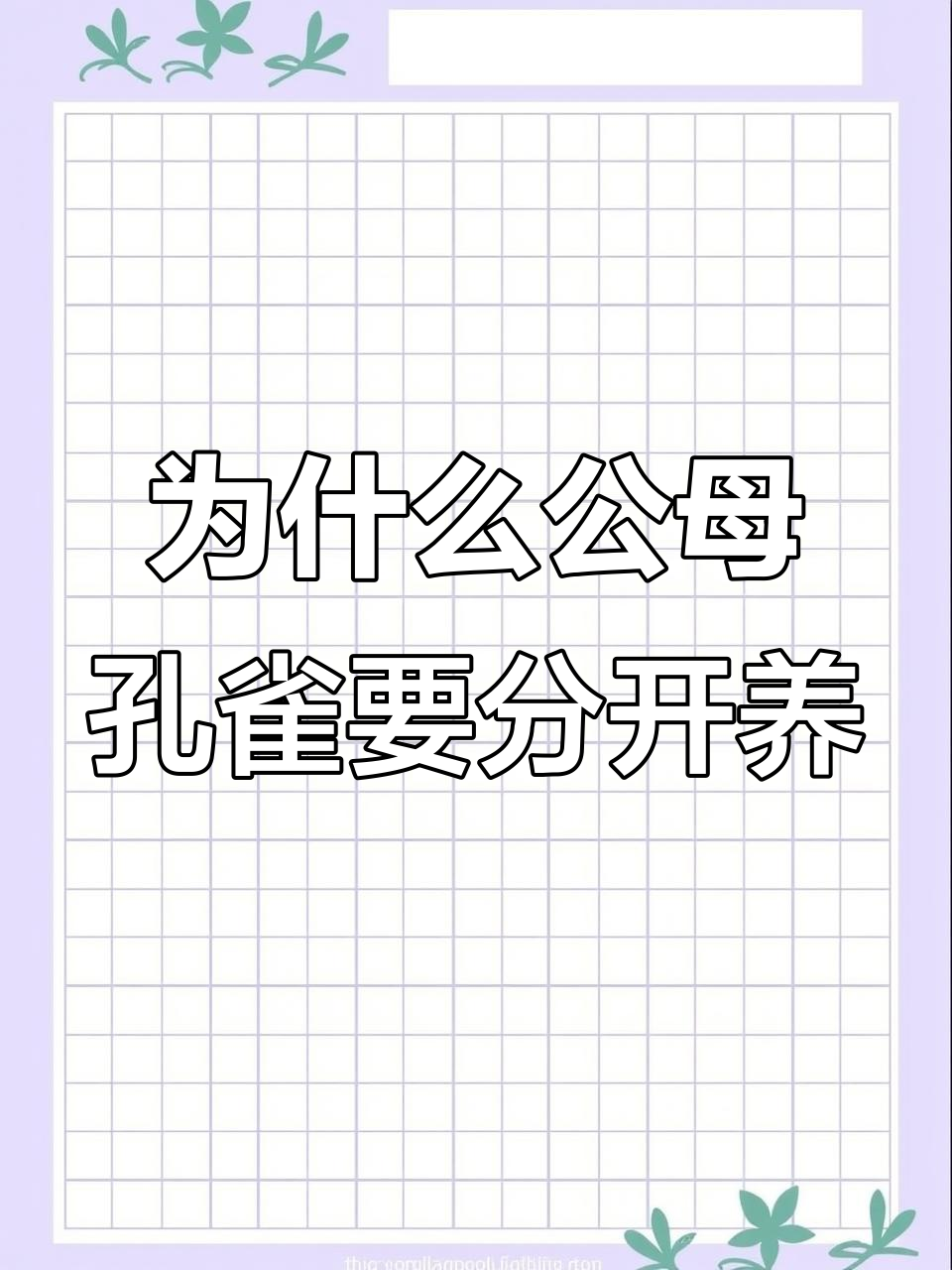 公母孔雀鱼分缸的真相,竟然是为了这个原因
