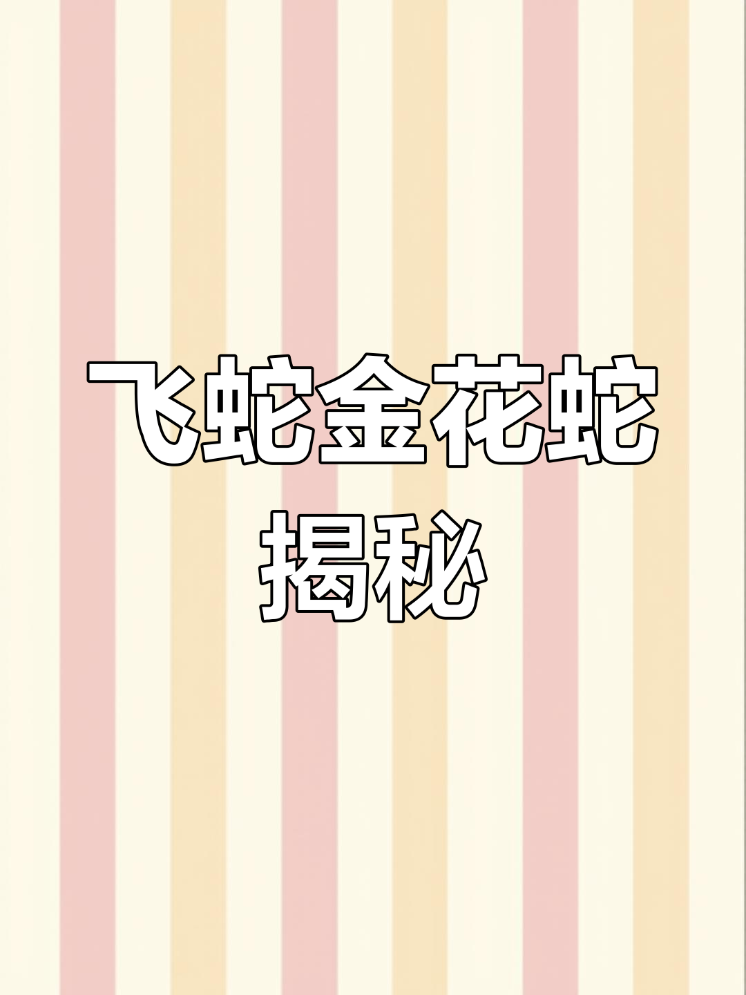 金花蛇:会“飞翔”的轻毒后沟牙蛇,攀岩力惊人