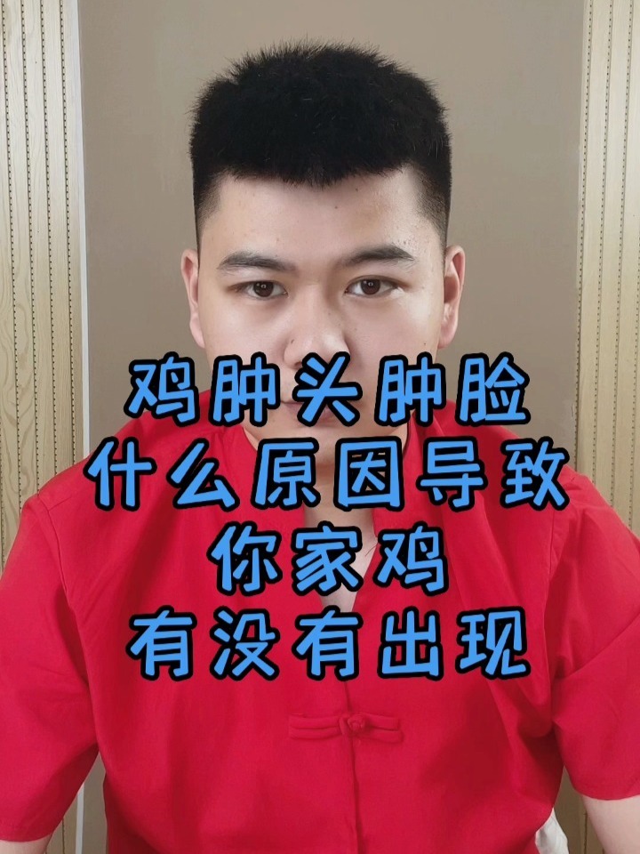 小鸡眼睛睁不开眼怎么办鸡眼睛睁不开是什么