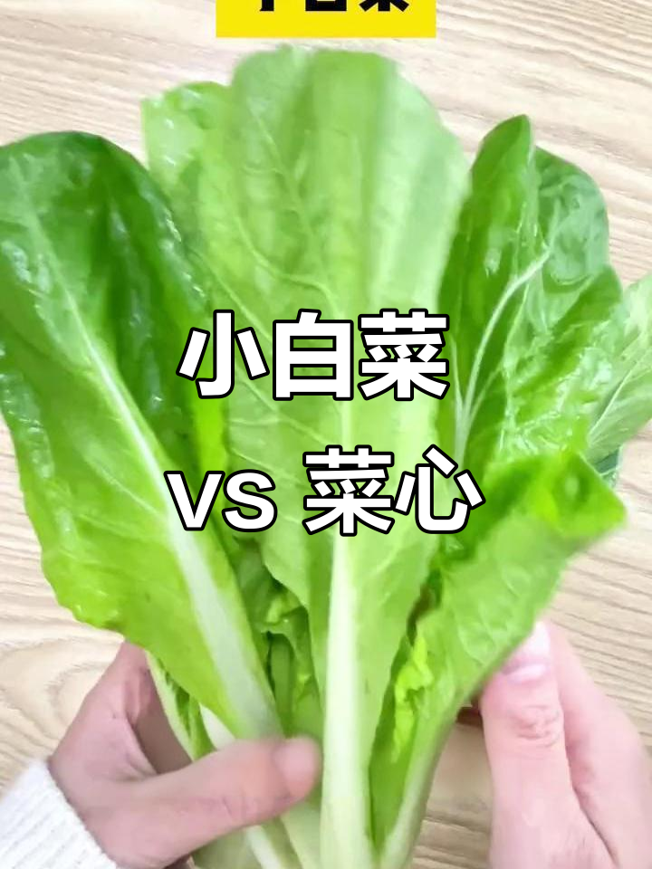 小白菜与菜心的营养差异,哪个更适合你?