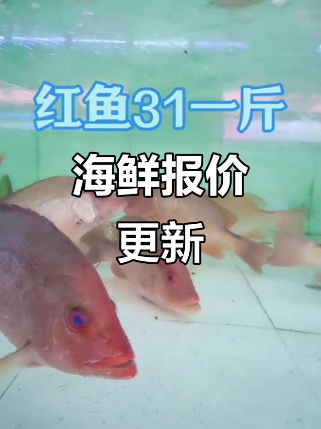 10/18鱼类价格更新,多种海鲜应有尽有