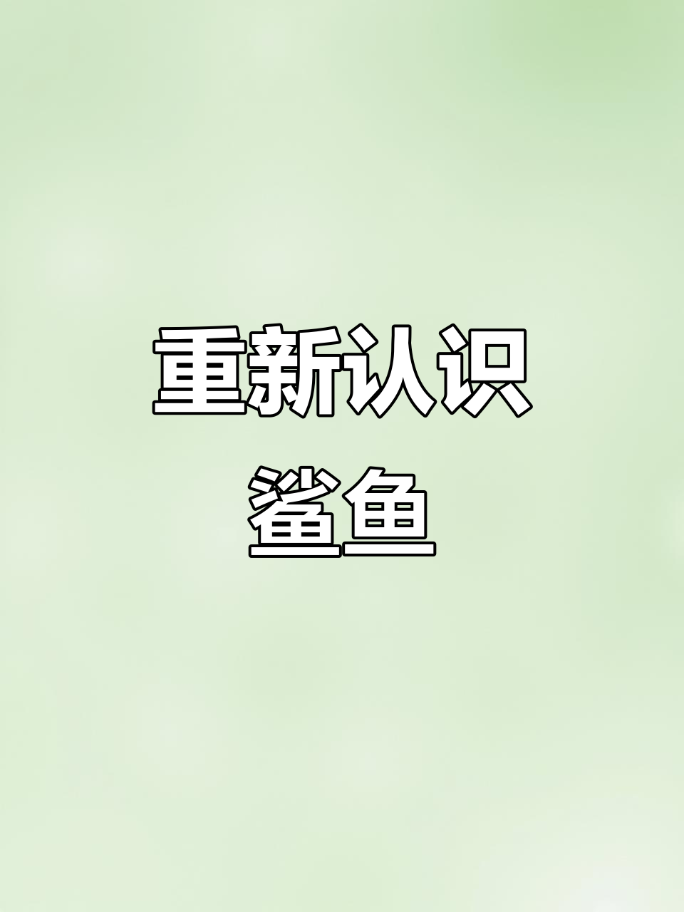 鲨鱼保护日,一起了解这些海洋捕食者