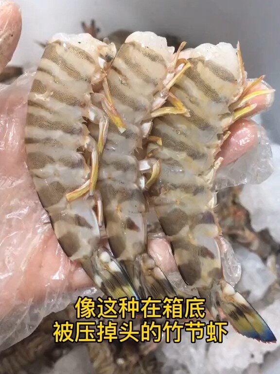 怎么做都好吃的竹节虾,你确定不尝试一下吗
