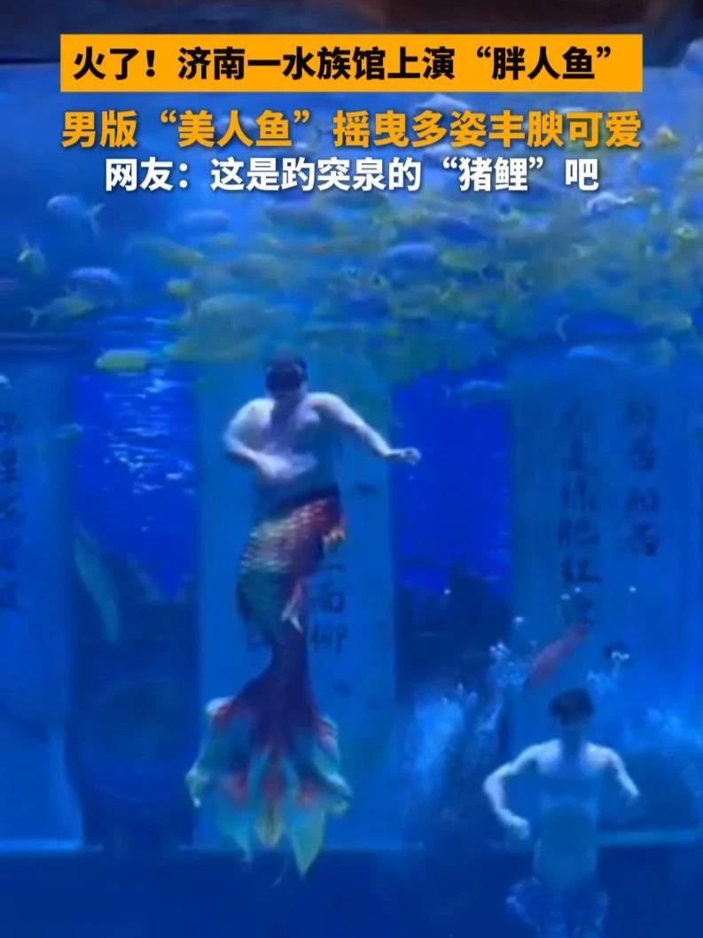 近日,山东济南,一水族馆的男版“美人鱼”在网络上火了,引发了不小的争议,有人说是这是“美肚
