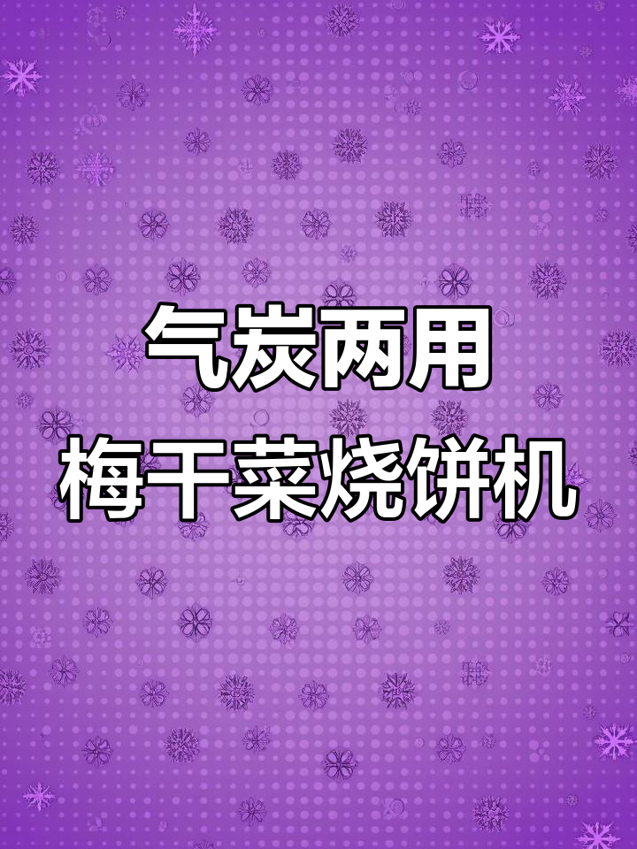 2023年气炭两用烧饼机,新疆定制款创业优选