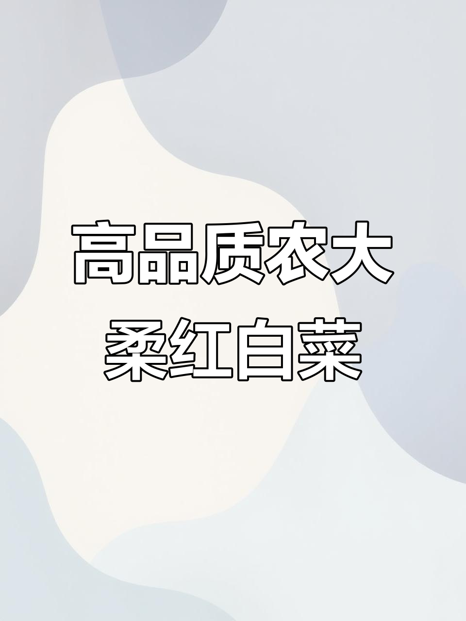 叶多帮少,营养丰富!农大柔红白菜让你吃不停