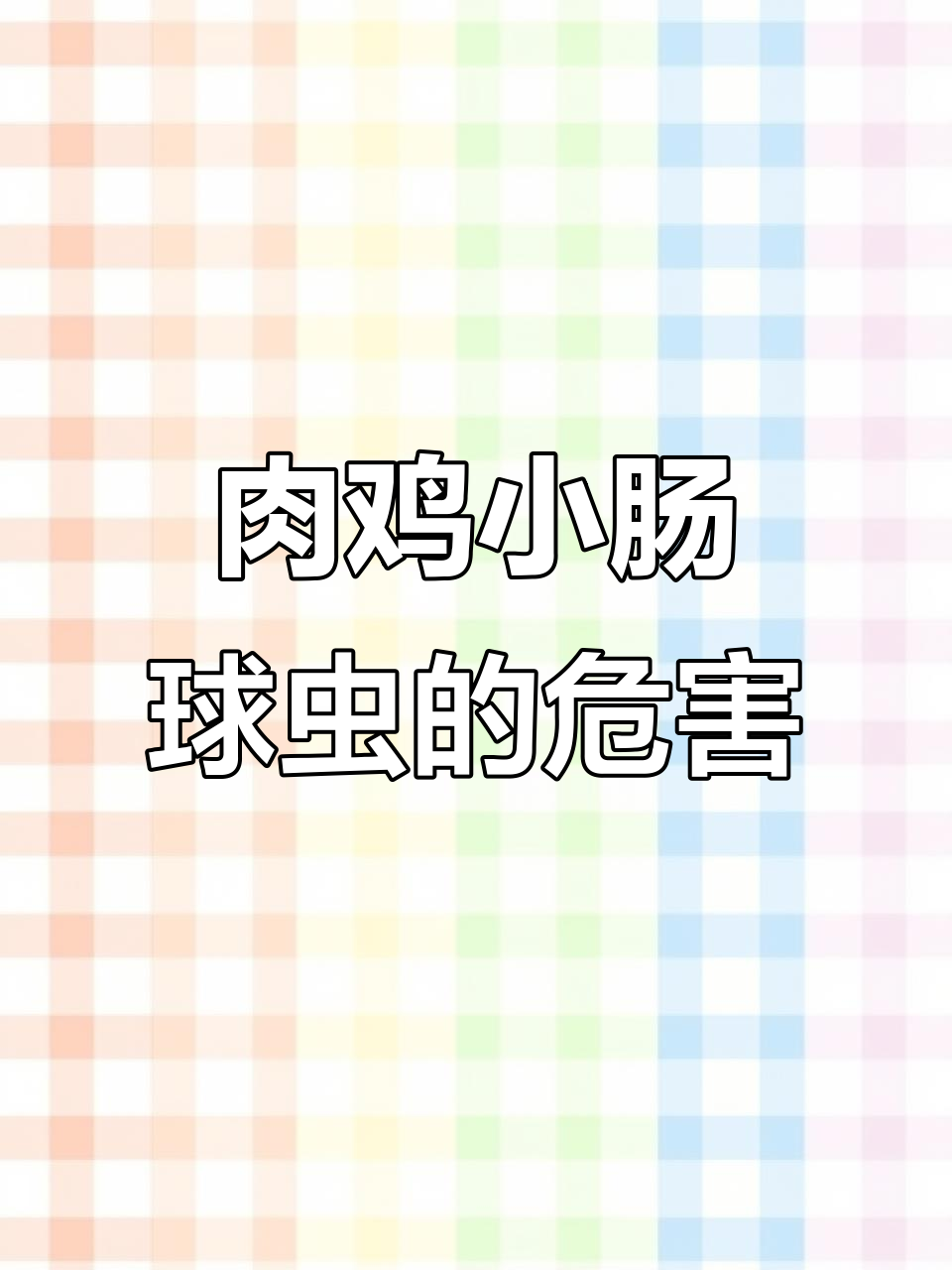 小肠球虫危害大,如何应对肉鸡肠道问题