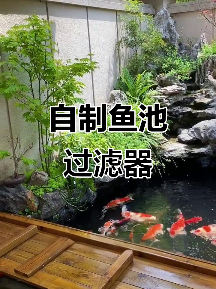 自制假山鱼池过滤系统,打造生态水景