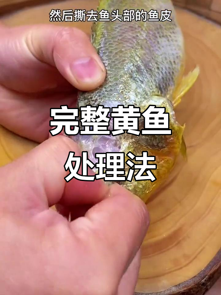 黄鱼内脏清理新技巧,不破肚轻松去腥