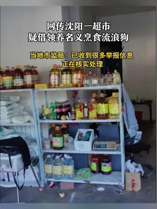 网传沈阳一超市疑借领养名义烹食流浪狗 当地市监局:已收到很多举报信息 正在核实处理 5月1