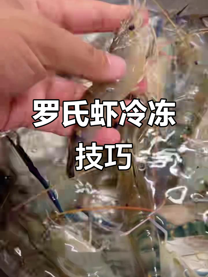 罗氏虾保存小妙招,活冻与熟冻两种方法教你轻松锁鲜