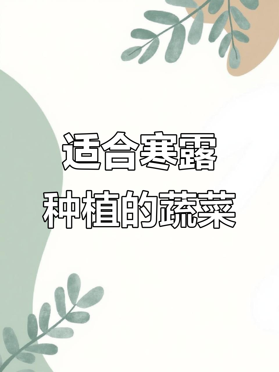 寒露后最适合种的瓜果蔬菜,盆栽地栽都能轻松搞定