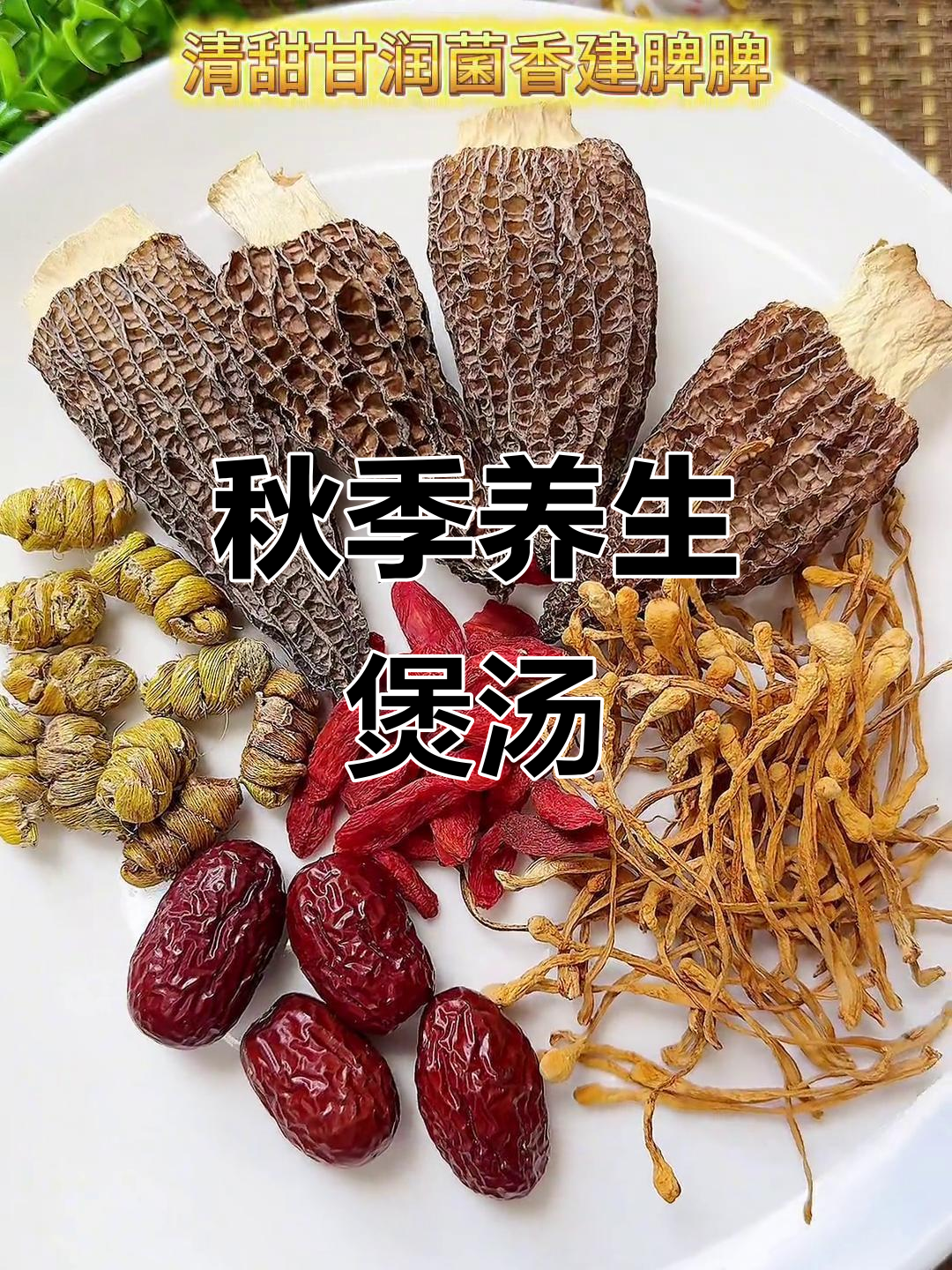 立秋滋补汤,羊肚菌石斛虫草花炖汤
