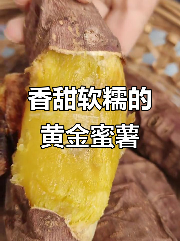 海南富硒黄金蜜薯,烤熟后口感如糖包子般细腻