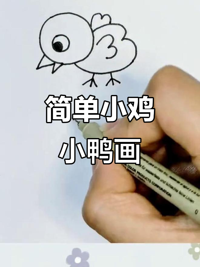 小鸡小鸭简笔画,轻松学会超可爱!