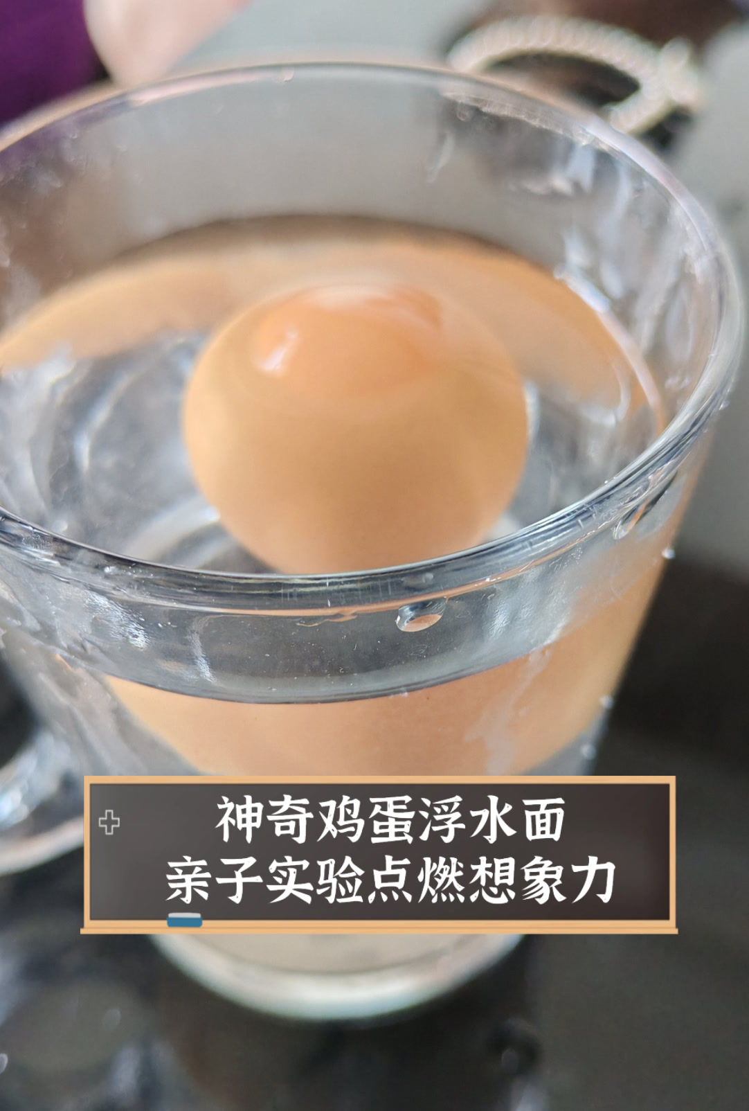 神奇鸡蛋浮水面,亲子实验点燃想象力