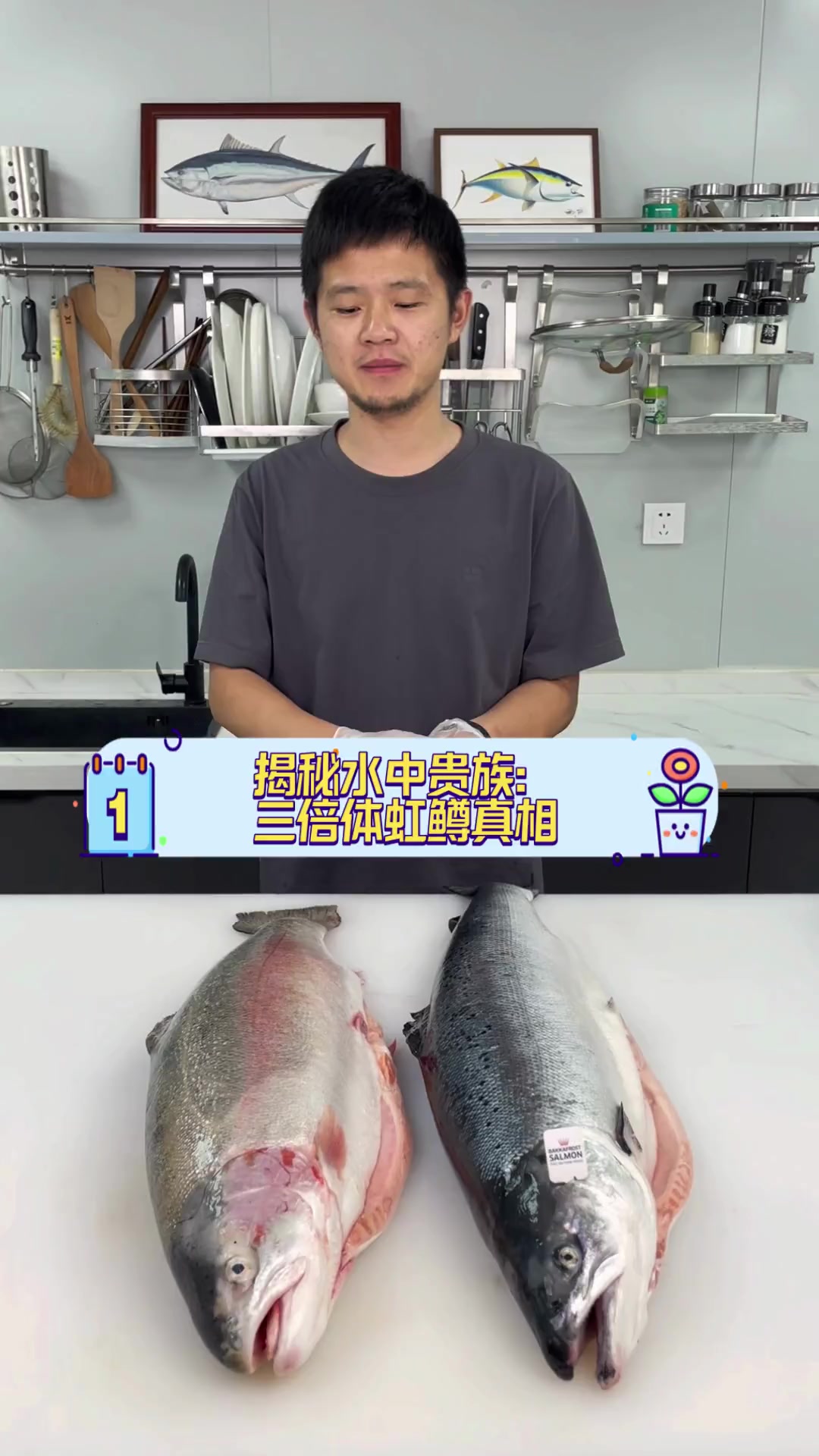 揭秘水中贵族:三倍体虹鳟真相