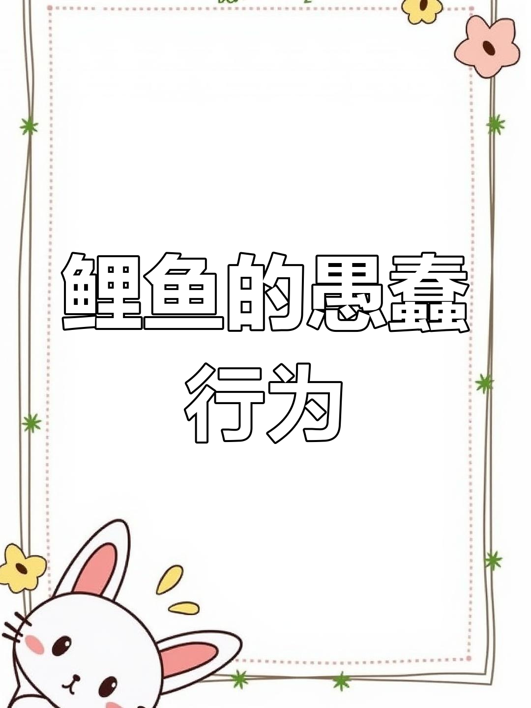 鲤鱼吐泡泡,狡猾又有点傻