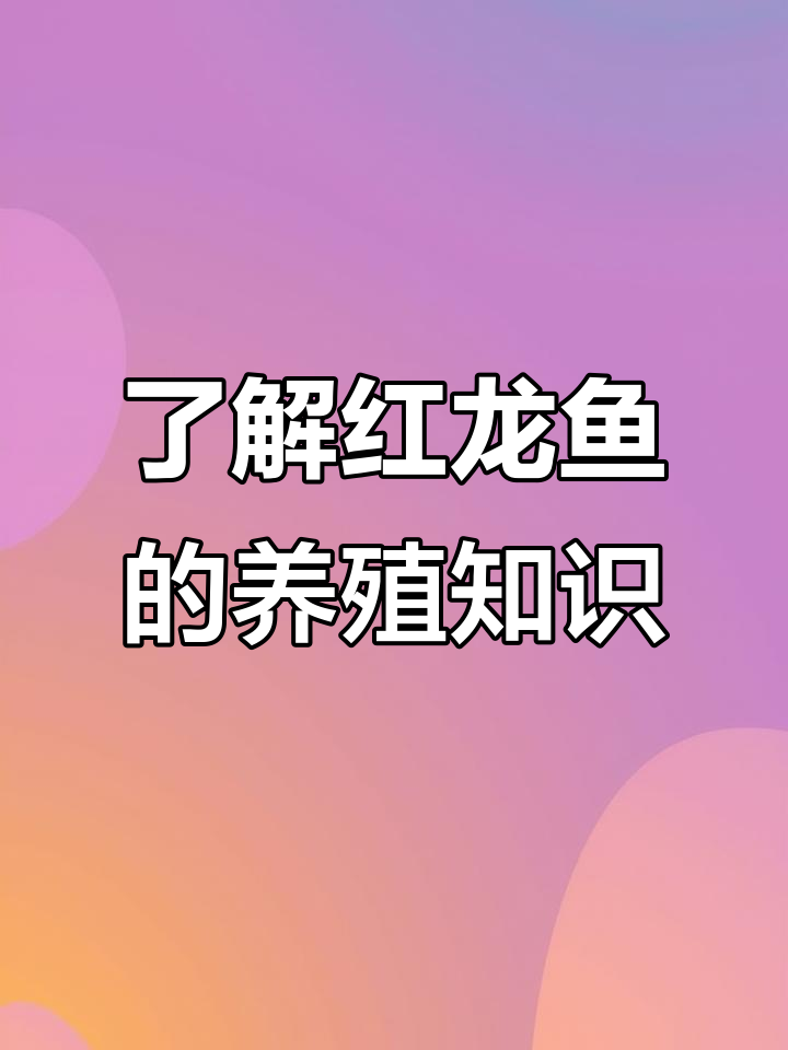 红龙鱼:从印尼到水族箱,揭秘古代繁殖方式与价格差异