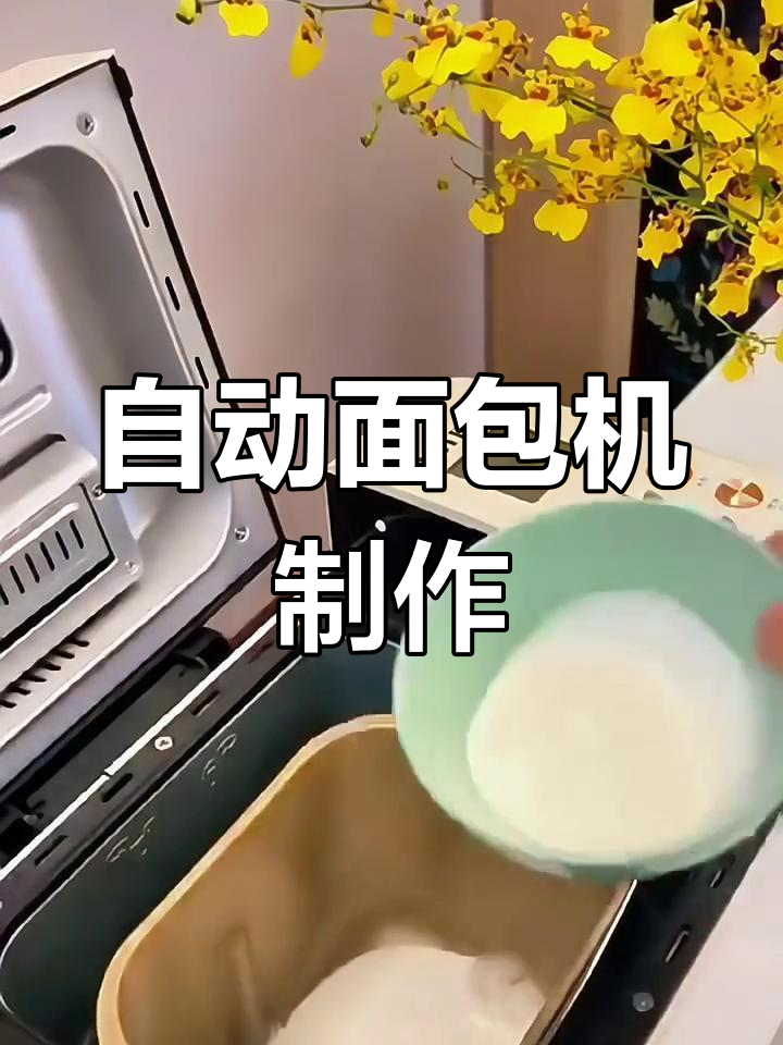 柏翠PE8855面包机家用全自动和面发酵,轻松做松软美味