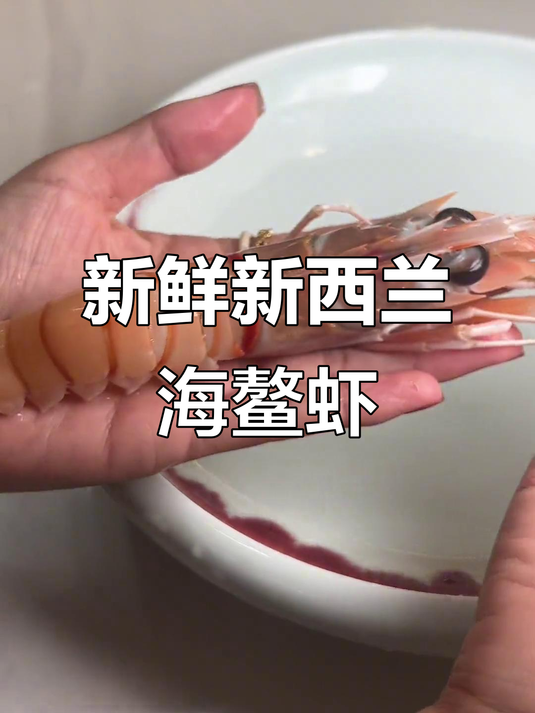 新西兰海鳌虾解冻,超大个头超鲜美!