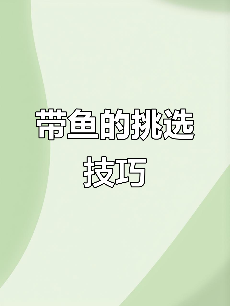 如何挑选新鲜带鱼?眼睛、腮和鳞片全揭秘