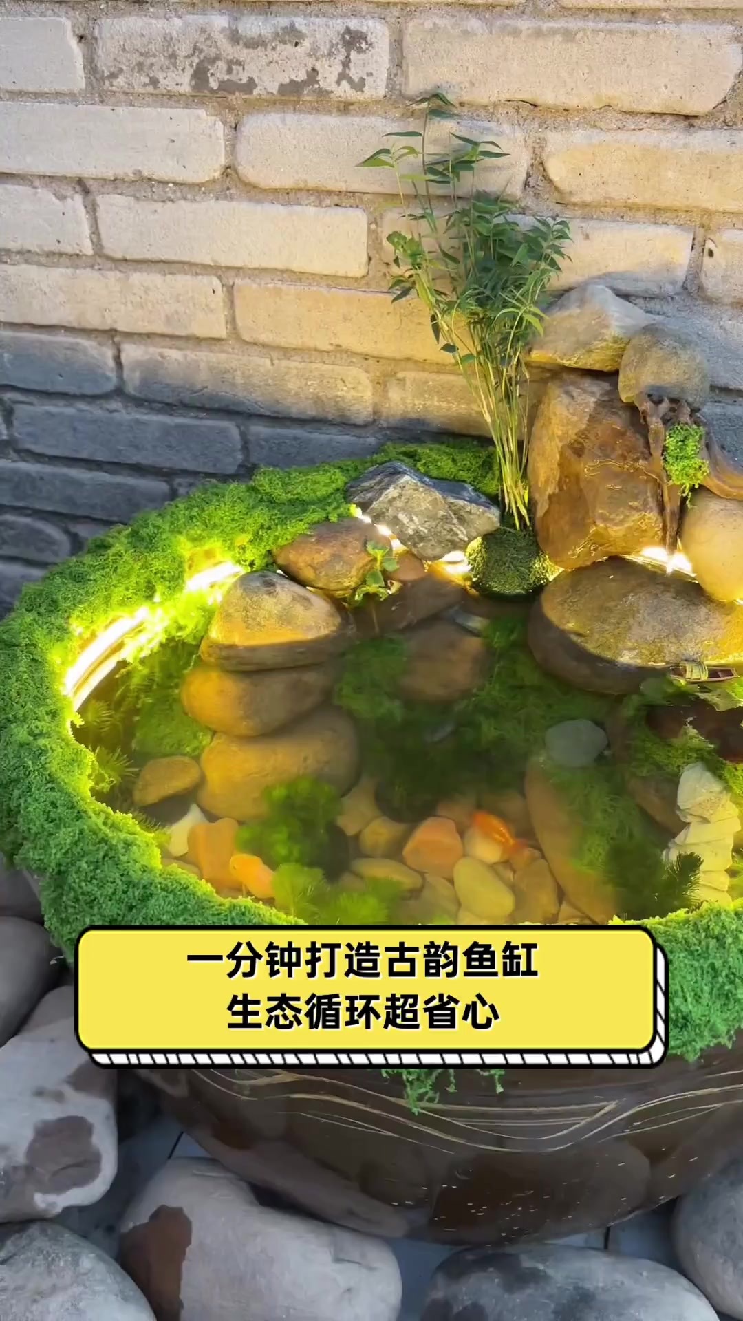 一分钟打造古韵鱼缸,生态循环超省心