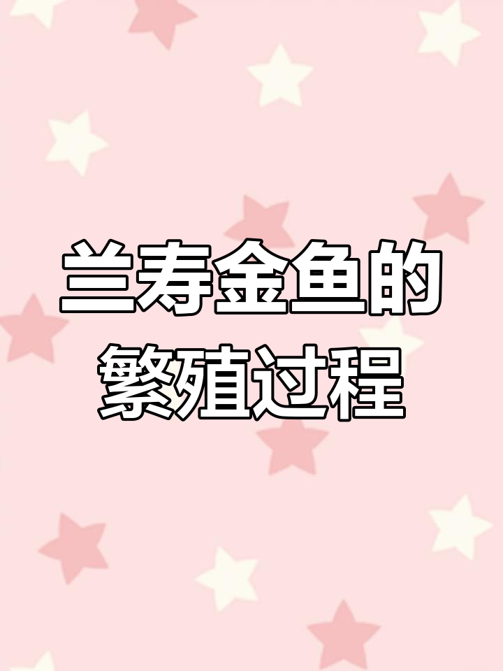 蓝寿金鱼产卵孵化全过程,从受精到起飞全程记录