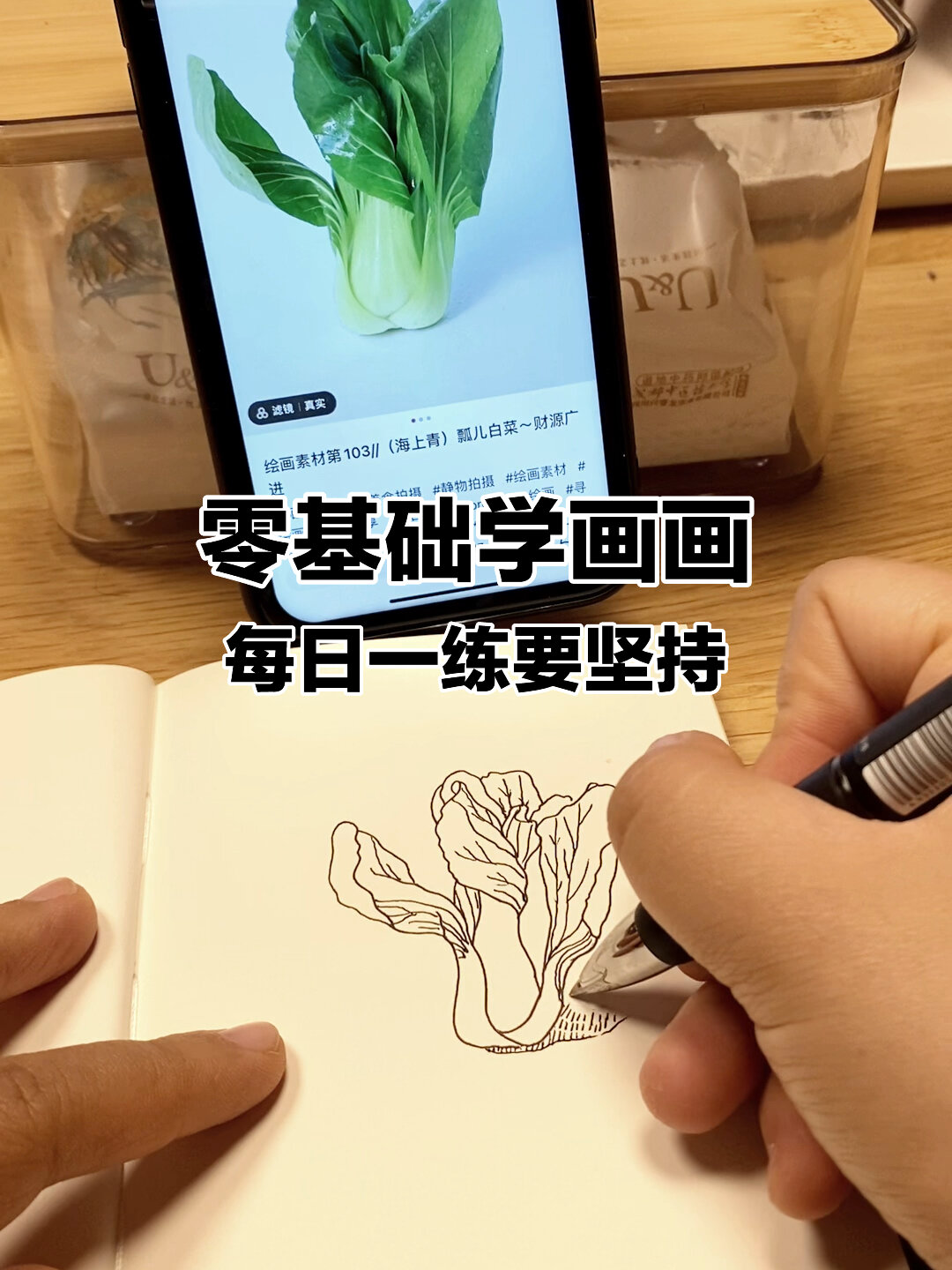 零基础学画画|今天是颗小白菜,行动起来