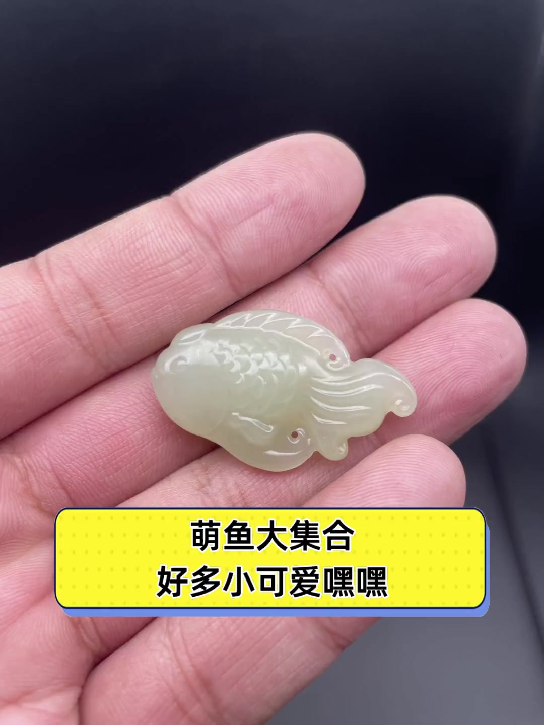 萌鱼大集合,好多小可爱嘿嘿