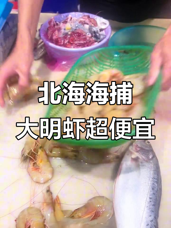 北海大明虾价格暴跌,鲜嫩美味一盘搞定
