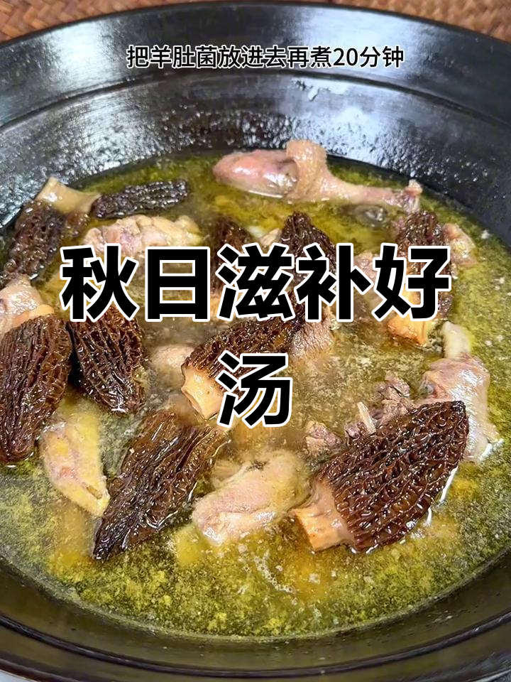 秋季滋补,羊肚菌炖老鸭汤,清甜不腻,营养满分