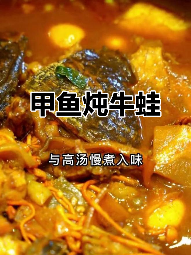甲鱼烧牛蛙,汤汁浓郁鲜嫩无比,吃上一口停不下来