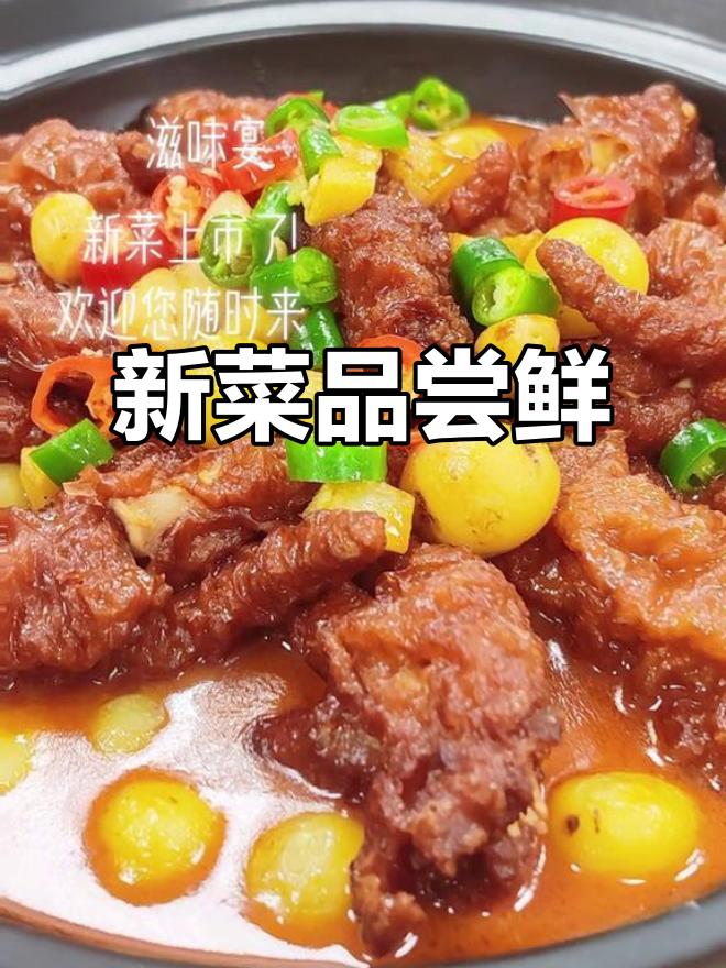 新菜上线，尽享美味盛宴！
