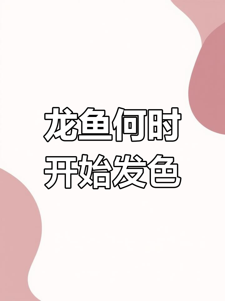 龙鱼发色过程揭秘:多久开始变色?