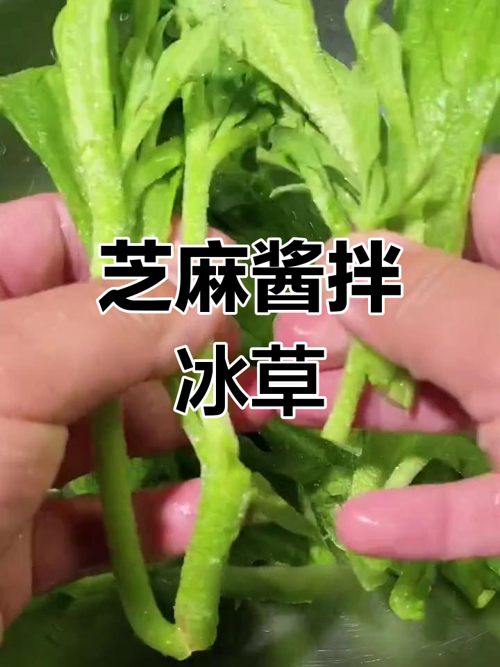 冰草凉拌新做法,麻酱调味让你停不下来