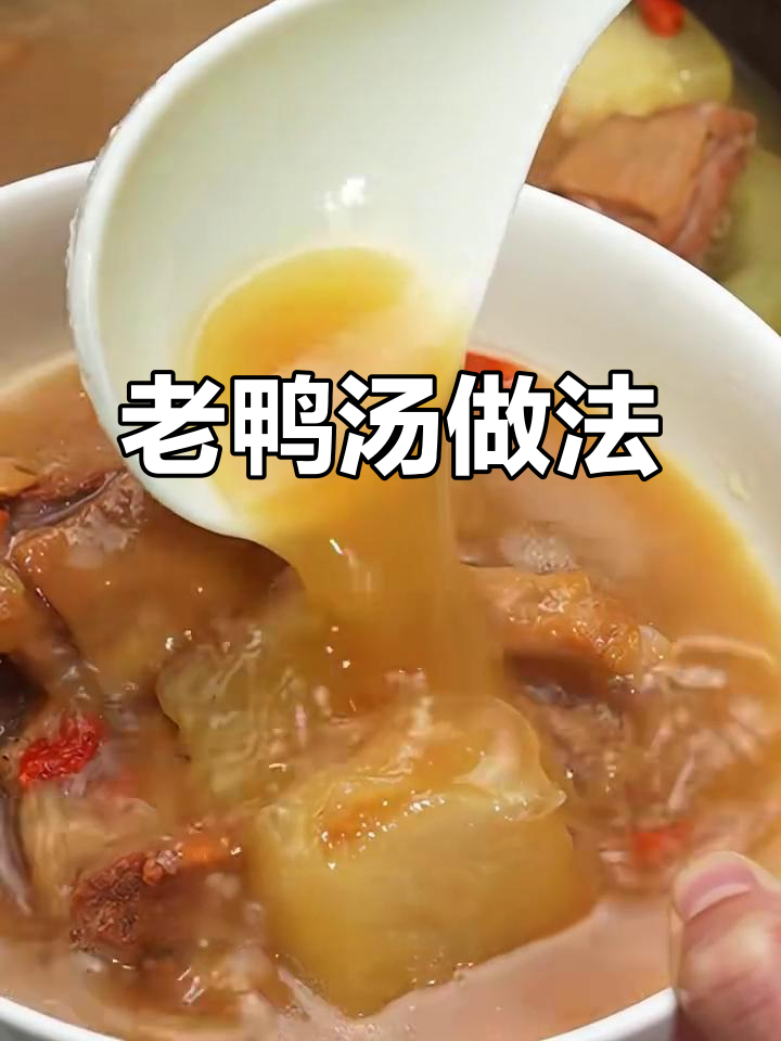 广东老鸭汤，滋补又美味！冬瓜微水炖法大揭秘