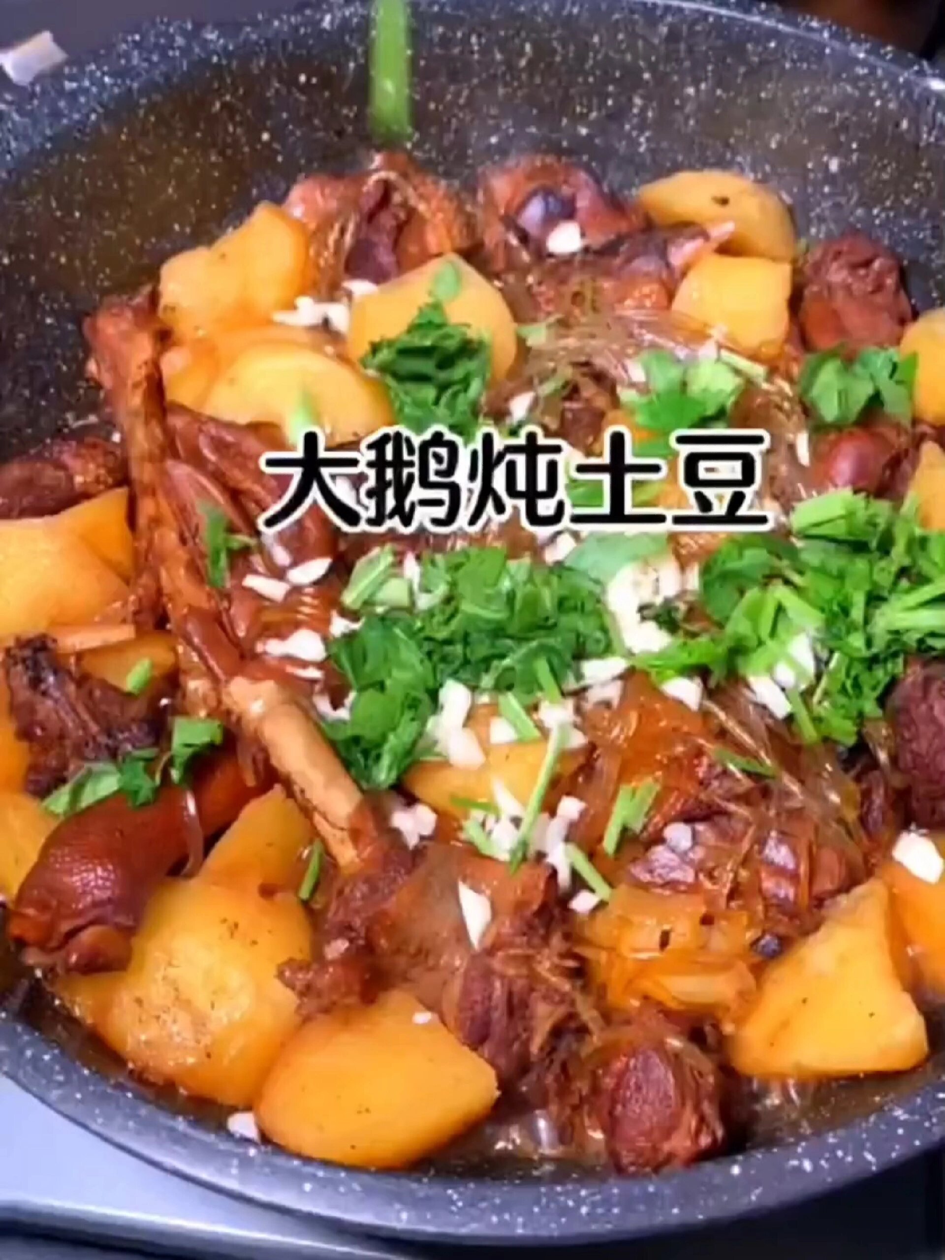 铁锅炖大鹅,正宗家常做法