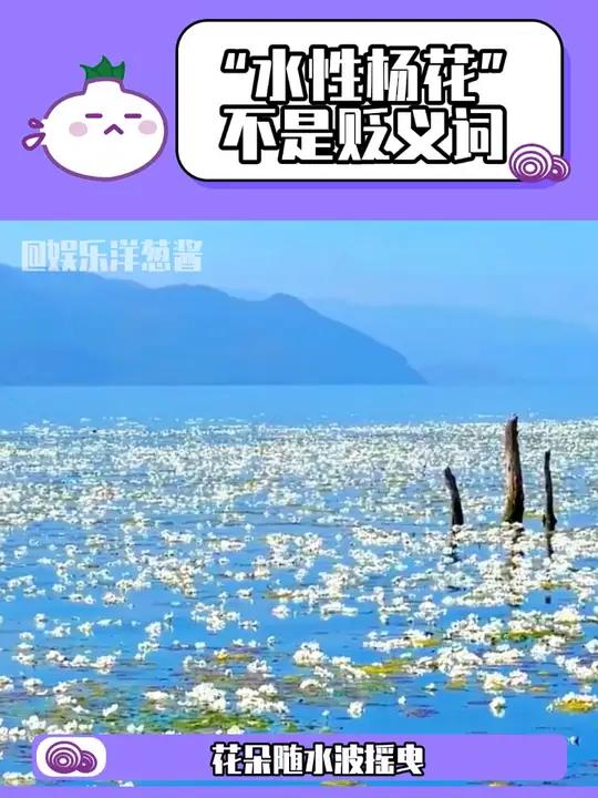 水性杨花的本意不是贬义词