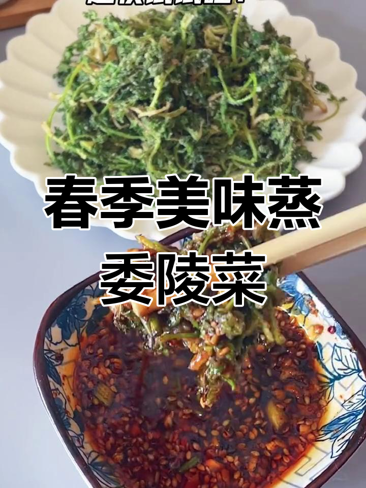 初春必吃蒸委陵菜,蒜泥汁蘸一蘸更香!