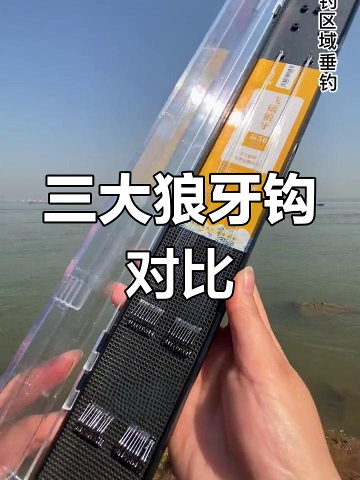 收费钓场鲤鱼必备!三大狼牙钩选对了吗?