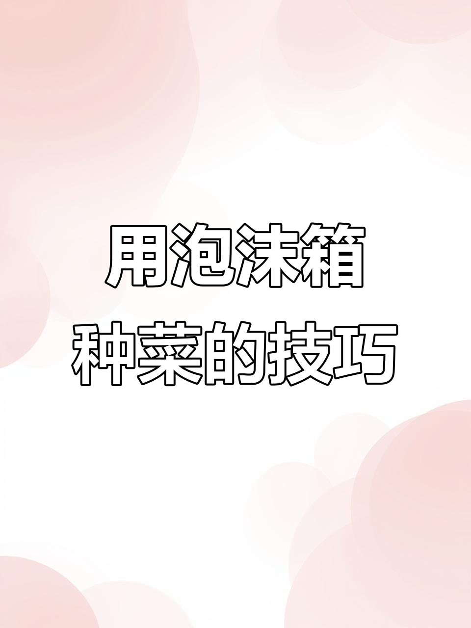 泡沫箱种菜必加底肥,轻松提升产量