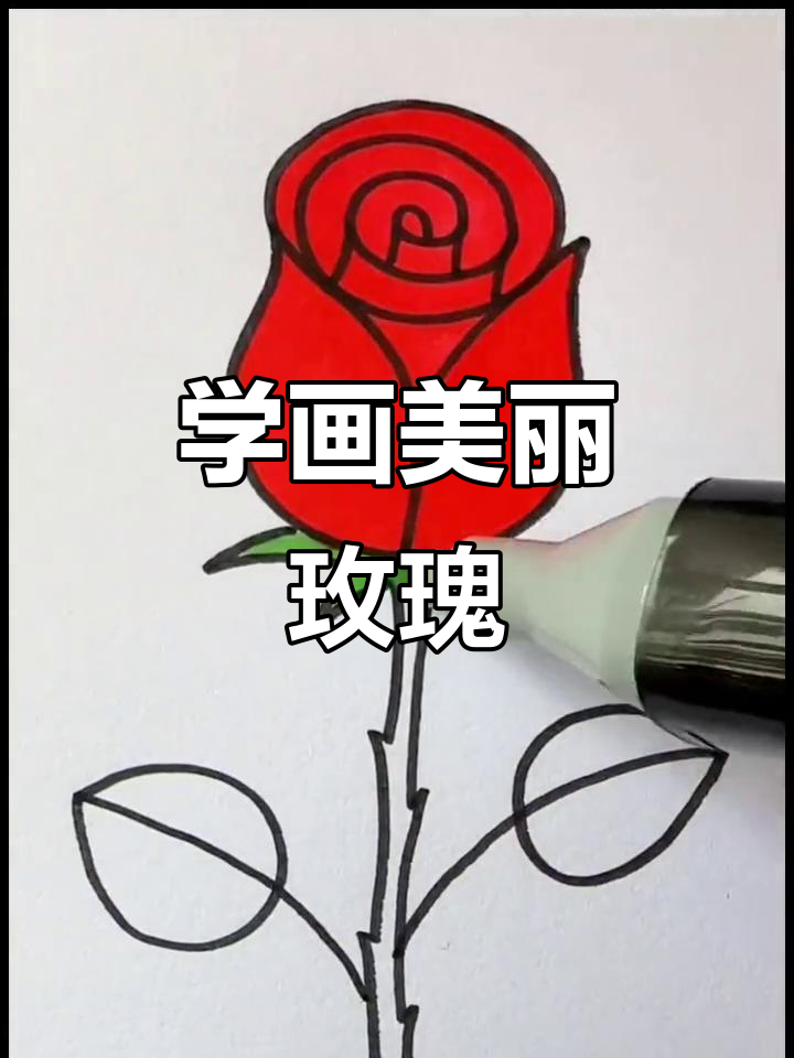 轻松几步学会画玫瑰花,简单又好看