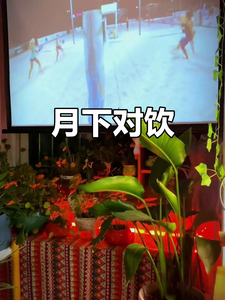 酒入愁肠,月下共醉,唯愿有知己相伴,忘却世间纷扰
