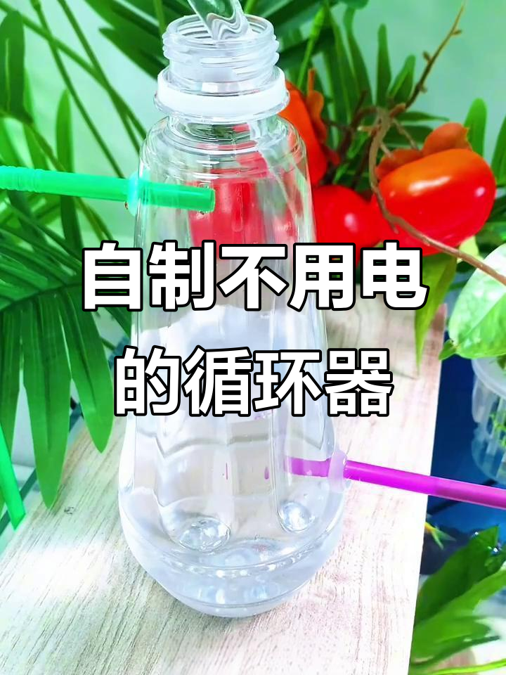 利用废弃瓶子制作无电循环水装置,简单又实用