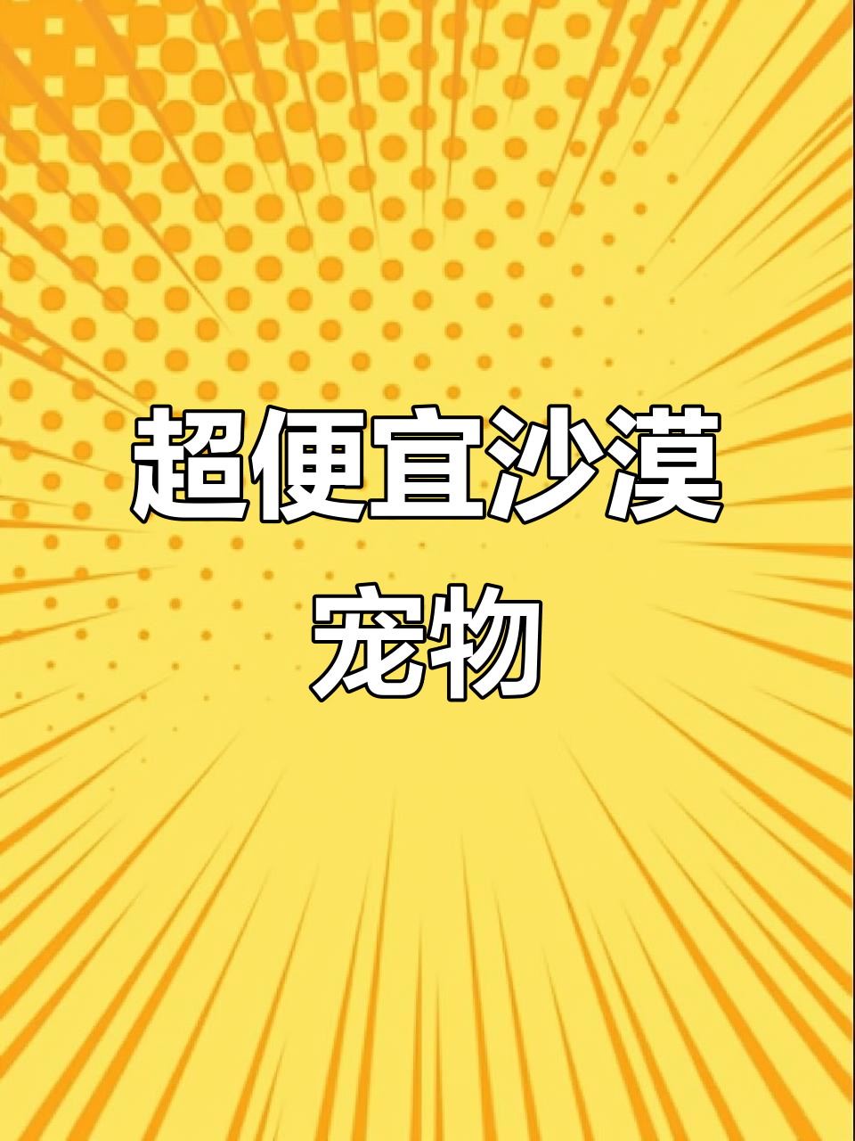 不到百元就能养的沙漠萌宠,通心粉鼠超可爱