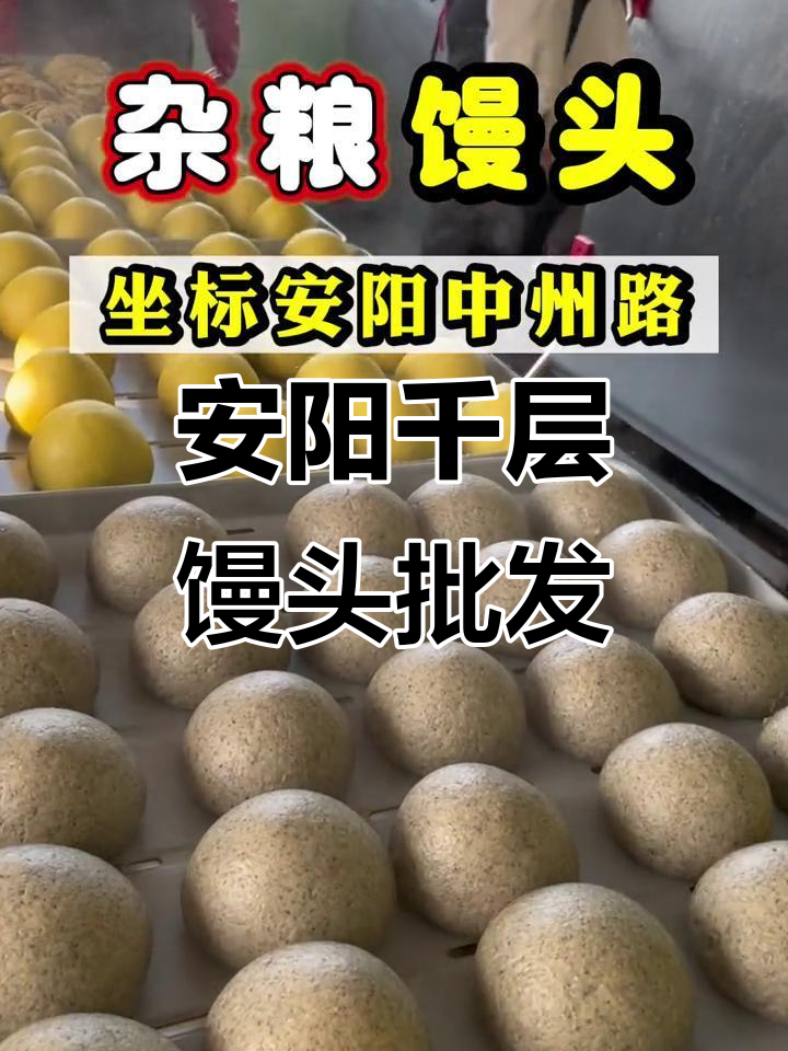 河南安阳老面千层馒头,批发价享美味